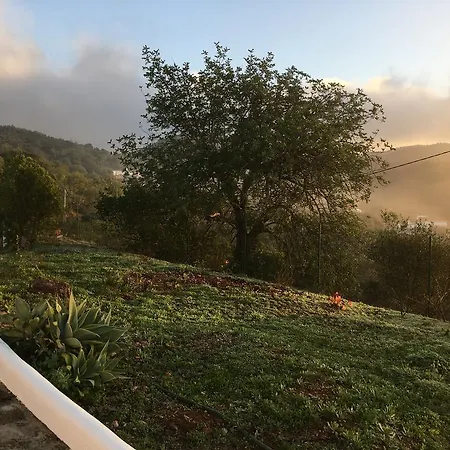 Kinta Alekrim * Cerro da Corte